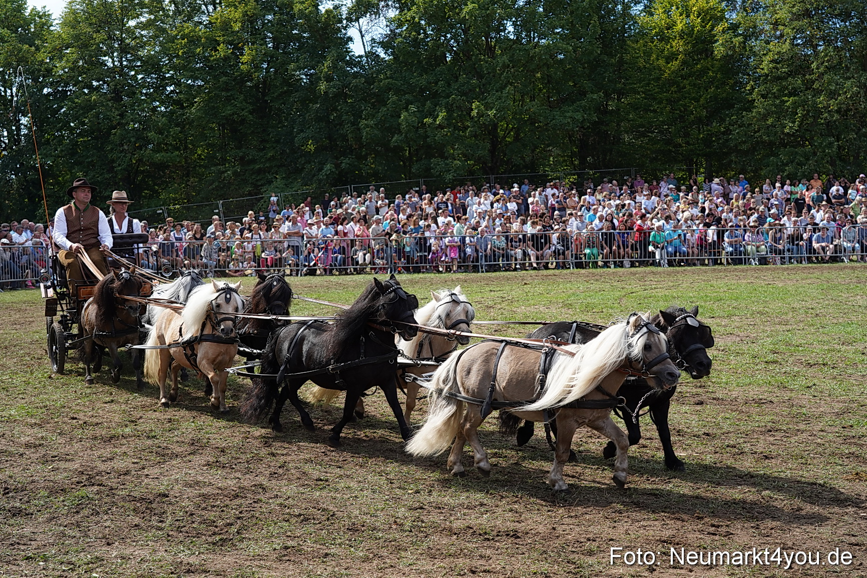 Pferde und Fohlenschau 2022 0291 